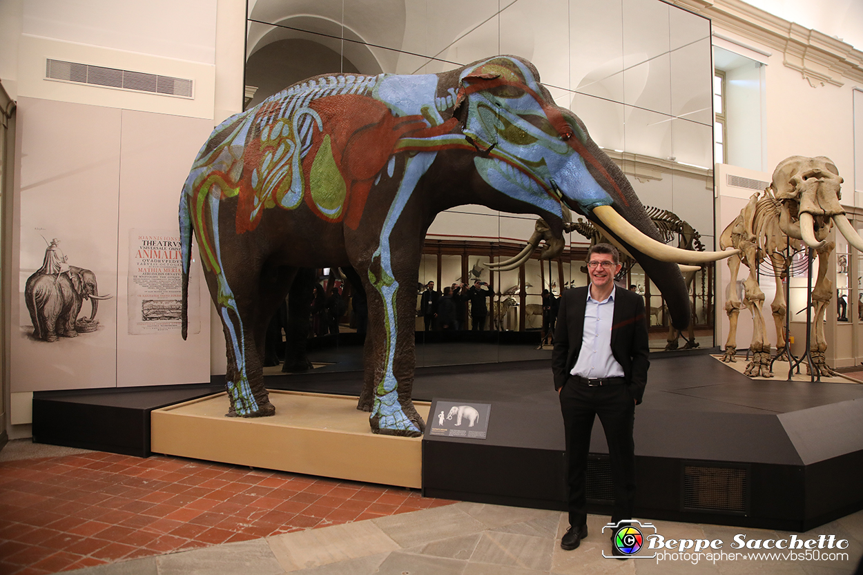 VBS_0906 - Riapre il Museo di Scienze Naturali dopo dieci anni di chiusura.jpg